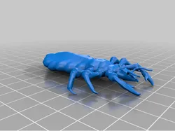 E3D+VET exercise: Head Lice