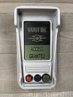 Fallout Access Granted Panel