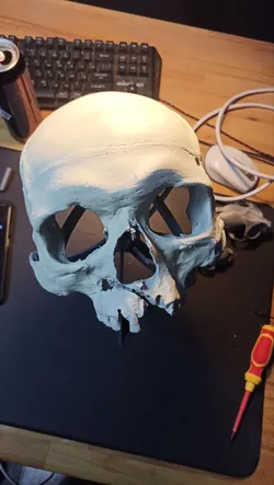 realistic skull mask