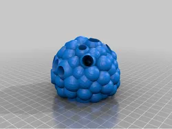 Coral