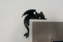 Night Fury Toothless door decor.