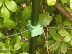 Rankhilfe fuer Rosen etc.
