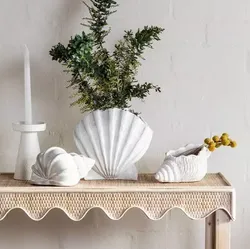 Seashell Vase 3D print model