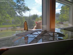 working glider (laser cut)