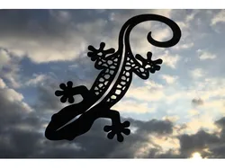 2D salamander
