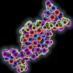 dna molecule