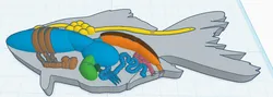 fully created biology fish