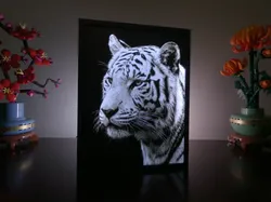 Hueforge Lamp - White Tiger - Free 3D Print Model