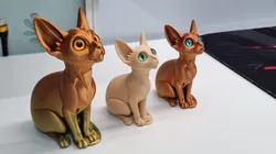 Sphynx cat with glass eyes