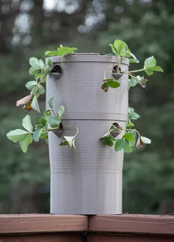Super Self Watering Planter