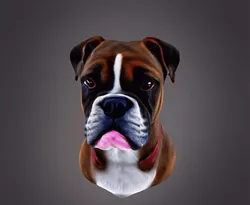 Boxer Bust 3D print model