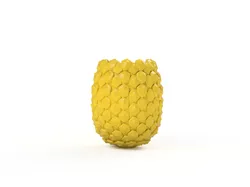Pineapple Airplant Holder
