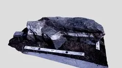 Rock Garden Specimen Albemarle Formation