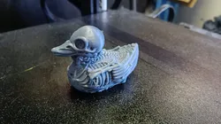 Skeleton ducky