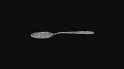 Spoon