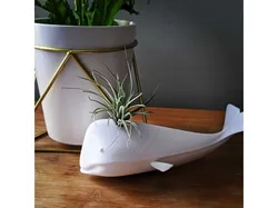 Whale Airplant Holder