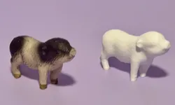 Animal Collection #02: scanned little pig