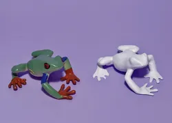Animal Collection #1:  scanned Frog
