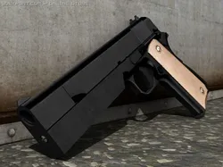 colt gs