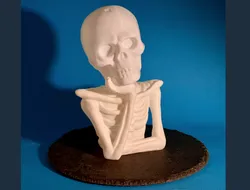 cute skeleton bust