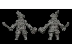 Dwarf pirates captain (28mm DnD miniature)