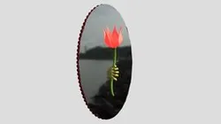 Flower-from-mirror
