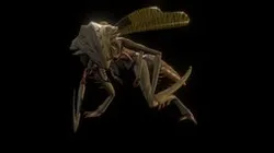 Insectoid Monster Rig