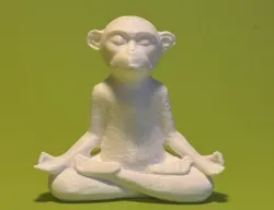 YOGA BUDDHA MONKEY