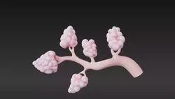 3D Model of Lactiferous Duct Anatomy 3D print model