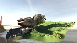 aa