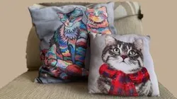 Cat Cushions - Iphone Scan
