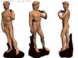 david