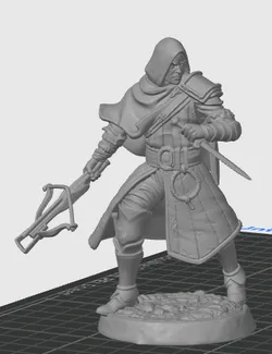 D&D Human Rogue / Assassin