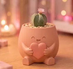 Heart Hug Planter - Cute Decor