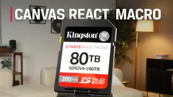 Kingston Technology Canvas React MacroSD Card