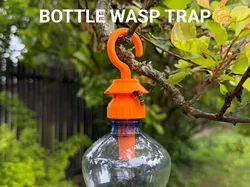Bottle Wasp Trap