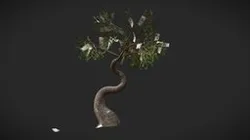 Money Tree created in SpeedTree