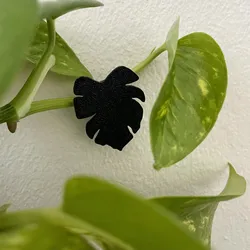PLANT WALL CLIP  - (3 Designs)