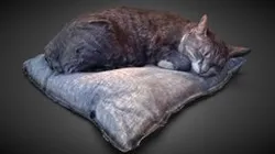 Sleepy Comfy Cat
