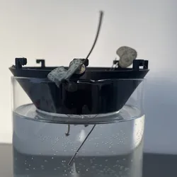 Universal Plant Propagation Lid - Different sizes