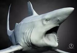 Helicoprion 3D print model