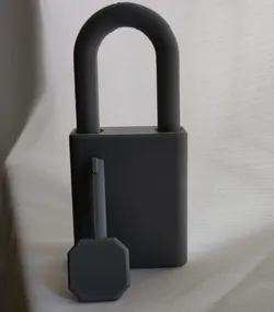 Padlock (Print-In-Place)