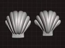 shell from the beach II 3D print model