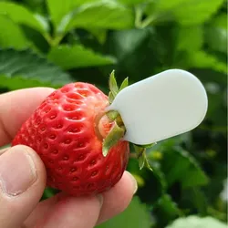 Strawberry Stem Remover