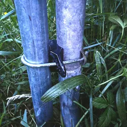 Trampoline pole spacer -brand: France Trampoline)