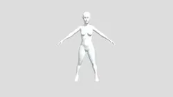 Femal Base Mesh
