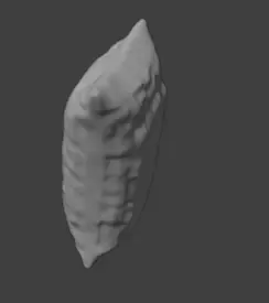 Inflatable Packet or package Model - Blender Simulation 3D print model