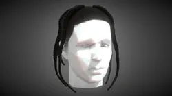 Pop Smoke Braids