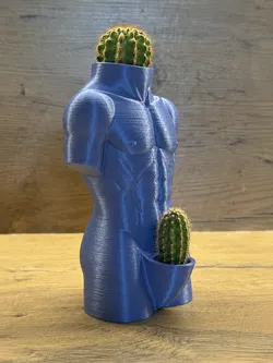 The Prickly Gentleman Planter – 3D Printable Torso Cactus Pot