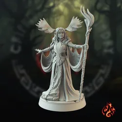 Lyrei, Elf Druid